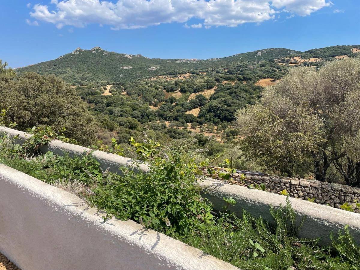 Stazzu Lu Chissoni Villa Luogosanto Exteriör bild